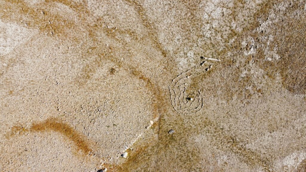 Water Damage Restoration Done Right: A Customer-First Approach in the Upstate