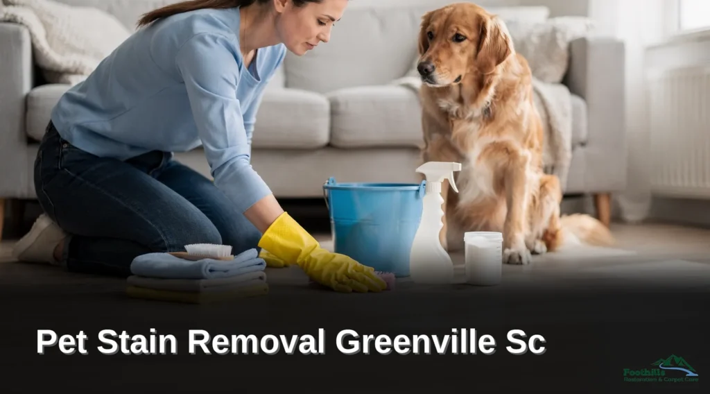Pet Stain Removal Greenville Sc: Carpet and Hard Surface Cleaning